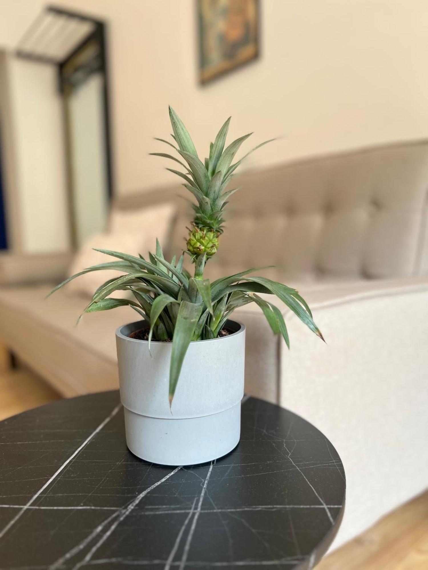 Modern Stay I Cosy & Central Apartments Кобленц Экстерьер фото
